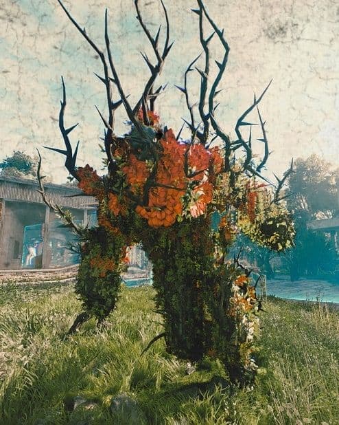 An Alpha Flowerman, a towering mass of orange flowers and black thorned branches, standing in an overgrown courtyard