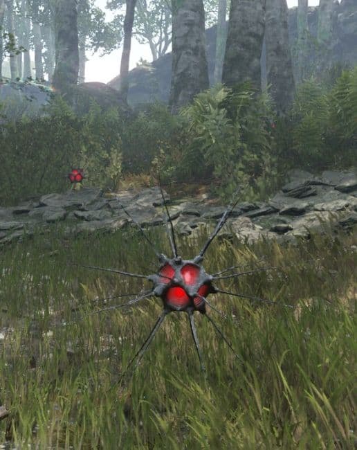 A Seed, a spiked red pod, sitting in the grass at the edge of a forest